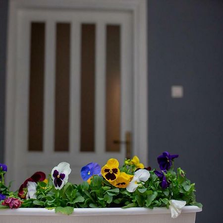 Apartmani Sunset Rogotin Luaran gambar