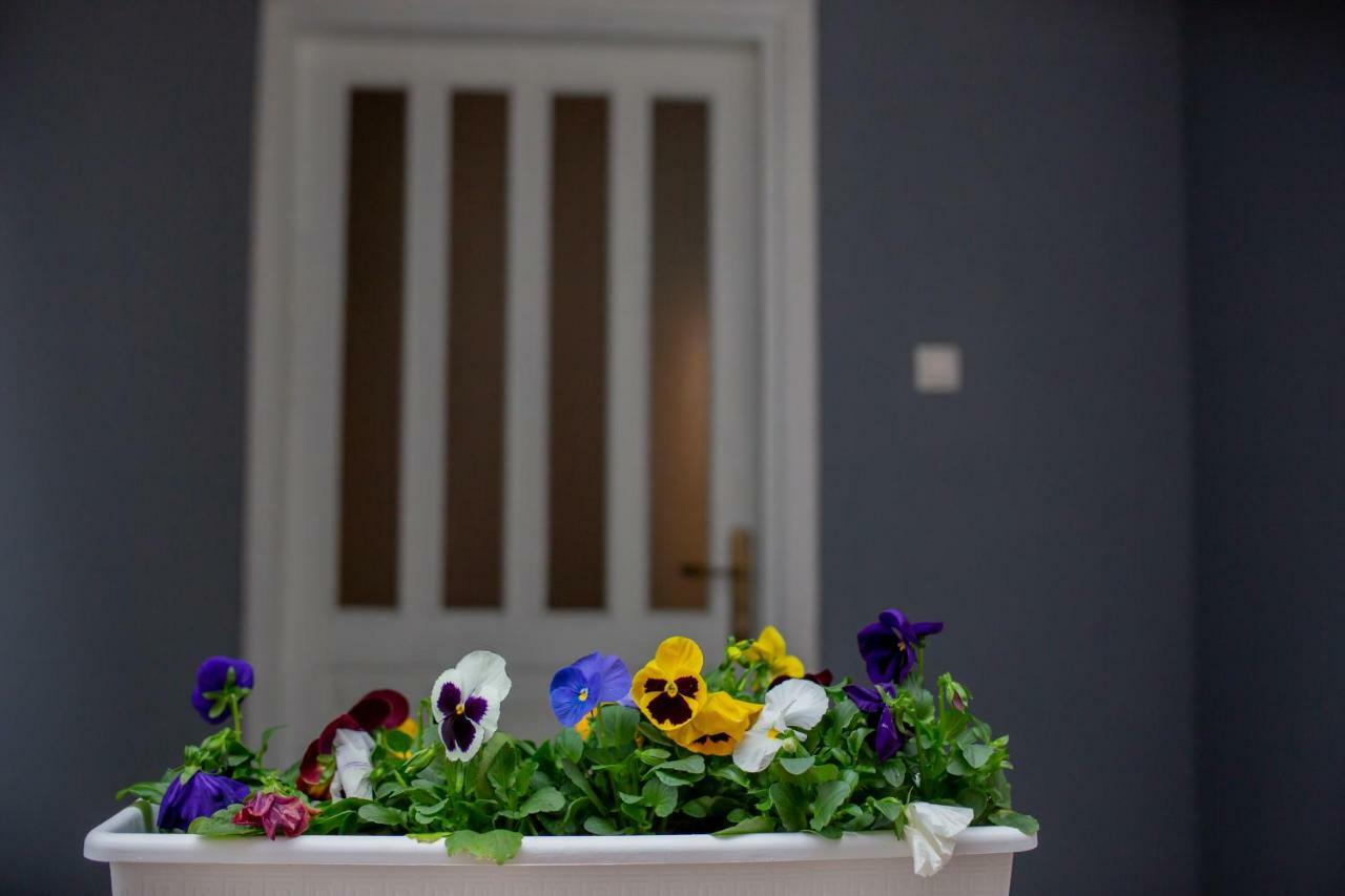Apartmani Sunset Rogotin Luaran gambar